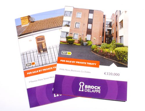 Broke Delappe Property Leaflet